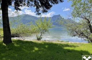 Grundstück zu kaufen in 5311 Innerschwand, Badegrundstück am Mondsee