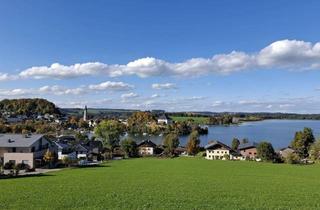 Wohnung kaufen in 5163 Mattsee, Seejuwel im Salzburger Seenland