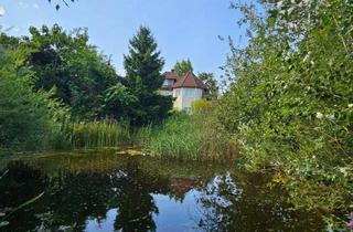 Villen zu kaufen in 2551 Enzesfeld-Lindabrunn, Exklusive Villa mit Schwimmteich und separatem Gäste- bzw. Personalhaus