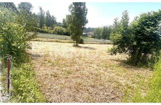 Grundstück zu kaufen in 4311 Schwertberg, Kleines Stück Land hoch über Schwertberg