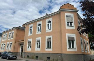 Gewerbeimmobilie kaufen in Stephan Weykerstorffer Gasse, 3580 Horn, Entwicklungs- und Revitalisierungsobjekt in zentraler Lage von Horn