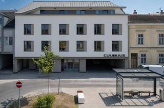 Wohnung mieten in 2483 Ebreichsdorf, Mieten mitten in Ebreichsdorf