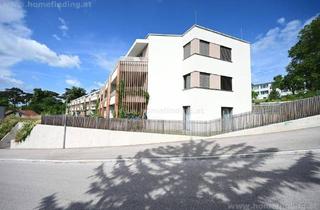 Wohnung mieten in Freibad Im Schlosspark, Schlosspark, 7000 Eisenstadt, helle 4-Zimmerwohnung, große Loggia mit Grünblick, Garage möglich -befristet