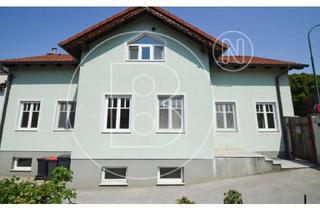 Einfamilienhaus kaufen in 3423 Sankt Andrä vor dem Hagenthale, Modernes Einfamilienhaus mit großzügiger Lagerhalle/Werkstatt in zentraler Lage!