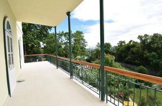 Büro zu mieten in 2540 Bad Vöslau, 156,71m² Büro mit Terrasse in der Rosenvilla!