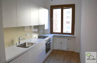 Wohnung mieten in Gonzagagasse, 1010 Wien, Innenstadt Apartment 131m² Nähe Schwedenplatz