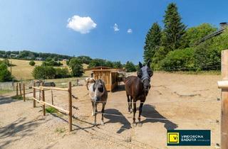 Agrarfläche kaufen in 2392 Sulz im Wienerwald, Pferdeparadies vor den Toren Wiens – Neu errichtete Reitanlage mit modernster Ausstattung