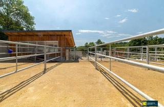 Gewerbeimmobilie kaufen in 2392 Stangau, Pferdeparadies vor den Toren Wiens – Neu errichtete Reitanlage mit modernster Ausstattung
