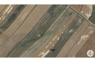 Gewerbeimmobilie kaufen in 3812 Groß-Siegharts, landwirtschaftlich genutzte Grundflächen Fixpreis 4,90/m²