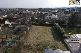 Grundstück zu kaufen in 2722 Winzendorf, Ruhiges sehr großes Grundstück