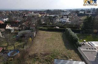 Grundstück zu kaufen in Curti-Siedlung, 2722 Winzendorf, Ruhiges sehr großes Grundstück