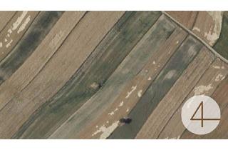 Agrarfläche kaufen in 3812 Groß-Siegharts, landwirtschaftlich genutzte Grundflächen Fixpreis 4,90/m²