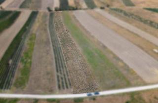 Gewerbeimmobilie kaufen in 2213 Bockfließ, Landwirtschaftliches Grundstück in der KG Bockfließ - 5834m2