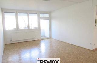 Loft mieten in 2344 Maria Enzersdorf, Wohnen mit Blick ins Grüne!"