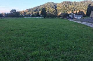 Grundstück zu kaufen in 9112 Griffen, Grundstück Ruhelage Sonnenlage