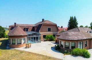 Mehrfamilienhaus kaufen in 2182 Palterndorf, Gepflegtes Mehrfamilienhaus mit Traumgrundstück
