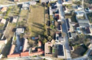Bauernhäuser zu kaufen in 2215 Raggendorf, Bauernhaus mit XXL Grundstück