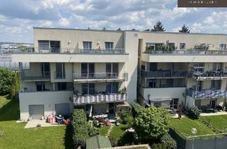 Wohnung mieten in 8055 Graz, | TERRASSENHIT | PUNTIGAM | FÜR PÄRCHEN | ZWEI-ZIMMER