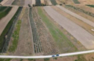 Gewerbeimmobilie kaufen in 2213 Bockfließ, Landwirtschaftliches Grundstück in der KG Bockfließ - 5834m2