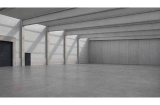 Büro zu mieten in 4655 Vorchdorf, Lagerhalle mit optimaler Verkehrsanbindung – direkt an der A1 in Vorchdorf