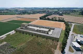 Lager kaufen in Frischeisstraße 12a, 4490 Samesleiten, Gewerbeflächen (Büro, Produktionshalle u. Lager) 59m²