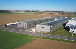 Lager mieten in Puchstraße 7/9, 4493 Wolfern, Gewerbeflächen (Büro, Produktionshalle u. Lager) 110m²