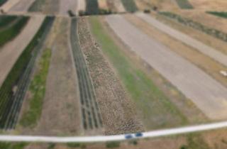 Agrarfläche kaufen in 2213 Bockfließ, Landwirtschaftliches Grundstück in der KG Bockfließ - 5834m2