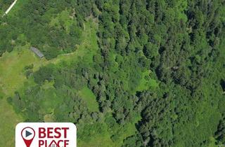 Gewerbeimmobilie kaufen in 9500 Villach-Innere Stadt, 4.5 ha Wiesen und Wald in Villach