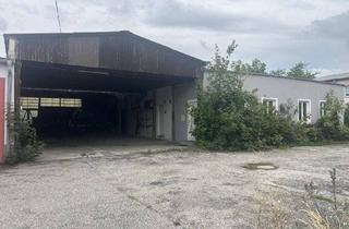 Büro zu mieten in 4050 Traun, 53 m2 Büro, 157m2 Halle, 150m 2 überdacht und 114 m2 nicht überdacht. OBJEKT 2