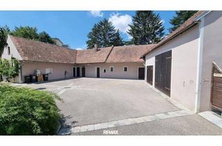 Haus kaufen in 3133 Traismauer, Wohnhaus mit vielfältigen Nutzungsmöglichkeiten in Traismauer