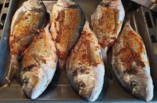 Gewerbeimmobilie kaufen in 4785 Freinberg, Tolle Fischzuchtanlage zu verkaufen!