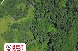 Grundstück zu kaufen in 9500 Villach-Innere Stadt, 4.5 Ha Wiesen und Wald in Villach