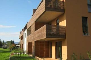 Wohnung mieten in 6845 Hohenems, Nette 2-Zimmer Wohnung - Ruhige Lage in Hohenems