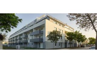 Wohnung mieten in Gymelsdorfergasse 48, 2700 Wiener Neustadt, 2-Zimmer-Neubauwohnung inkl. Loggia, Komplettküche und Kellerabteil in Wiener Neustadt/ CQ02 Top 4-11
