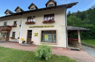 Gewerbeimmobilie kaufen in 2761 Miesenbach, Vielseitig nutzbare Büro/Geschäftsräumlichkeit in Miesenbach