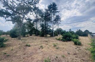 Grundstück zu kaufen in 2230 Gänserndorf, Baugrundstücke mit hervorragendem Preis-Leistungs-Verhältnis – Ideal für Eigenheim oder Investment