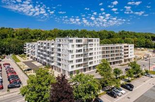 Gewerbeimmobilie kaufen in 3100 Sankt Pölten, Gewerbefläche im Steingötterhof