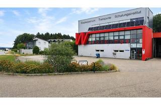 Gewerbeimmobilie kaufen in 4441 Badhof, GEWERBEHALLE MIT BÜRO UND GROSSEM FLUGDACH