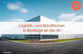 Büro zu mieten in 4642 Sattledt, Logistik- und Büroflächen in Bestlage an der A1 - Teilflächen ab 5.000 m²