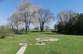 Bauernhäuser zu kaufen in 2230 Gänserndorf, Charmantes Haus mit großem Garten und separater Wohneinheit