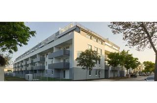 Wohnung mieten in Gymelsdorfergasse, 2700 Wiener Neustadt, 2-Zimmer-Neubauwohnung inkl. Loggia, Komplettküche und Kellerabteil in Wiener Neustadt/ CQ02 Top 4-11