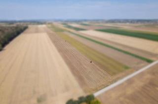 Gewerbeimmobilie kaufen in 2212 Großengersdorf, Landwirtschaftliches Grundstück in der KG Großengersdorf - 27952m2
