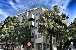 Gewerbeimmobilie kaufen in 1190 Wien, Moderne Bürofläche 174m² mit Terrasse und 4 Zimmern im EG, 1190 Wien