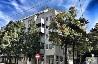 Gewerbeimmobilie kaufen in 1190 Wien, Moderne Bürofläche 174m² mit Terrasse und 4 Zimmern im EG, 1190 Wien