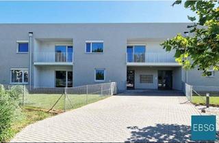 Wohnung mieten in Urbarialgasse WE 1, 7151 Wallern im Burgenland, 2-Zimmer Erdgeschoßwohnung mit Garten