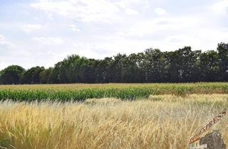 Grundstück zu kaufen in 2433 Margarethen am Moos, Großes Grundstück in Margarethen am Moos - Nahe Wien!