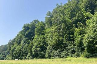 Gewerbeimmobilie kaufen in 8051 Graz, Wiese in Thal bei Graz