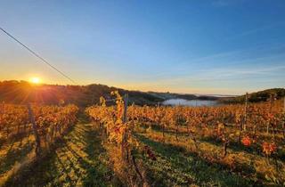 Gewerbeimmobilie kaufen in 8382 Weichselbaum, Investitionsmöglichkeit!!!Erfolgreiches Weingut im Burgenland