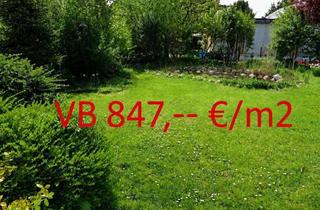 Grundstück zu kaufen in 1210 Wien, SCHWARZLACKENAU - 528m2 EIGENGRUND VB 447.000, SONNIG, RUHIG, ALTBESTAND