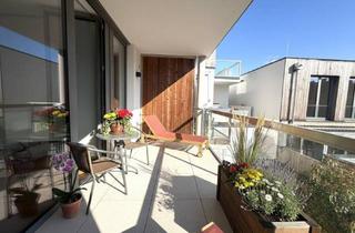 Penthouse kaufen in 2344 Maria Enzersdorf, 1-5 Zimmer Wohnungen, Erstbezug, Luftwärmepumpe, Photovoltaikanlage, Eigengarten, Terrassen, Aufzug